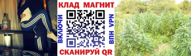 Как найти наркотики Ахтубинск Галлюциногенные грибы  Амфетамин  Лсд 25  ГАШИШ  Канабис  СОЛЬ  Мефедрон 