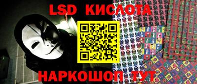 СК Брянск