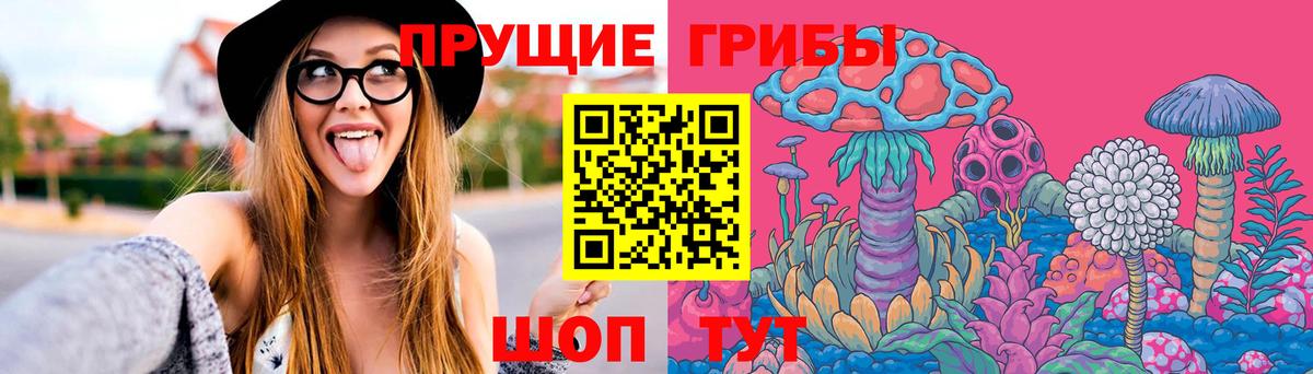 Ахтубинск  Псилоцибиновые грибы Psilocybine cubensis  закладки  Псилоцибиновые грибы прущие грибы  Вход с VPN 